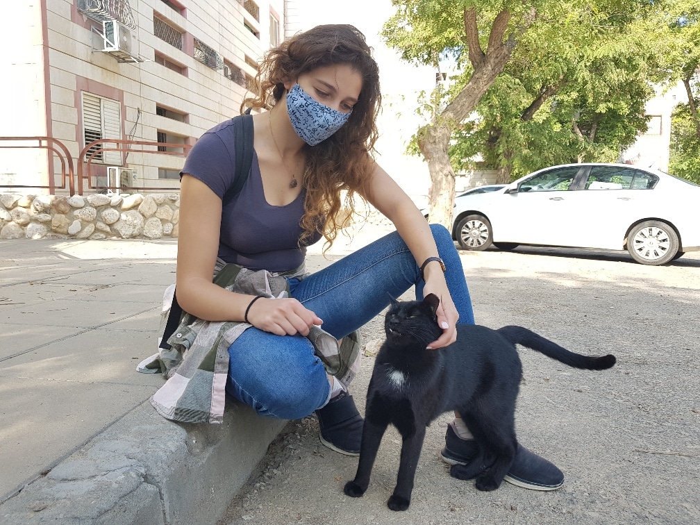 התנדבות עם חתול עזרה לחתולי הרחוב בתל אביב