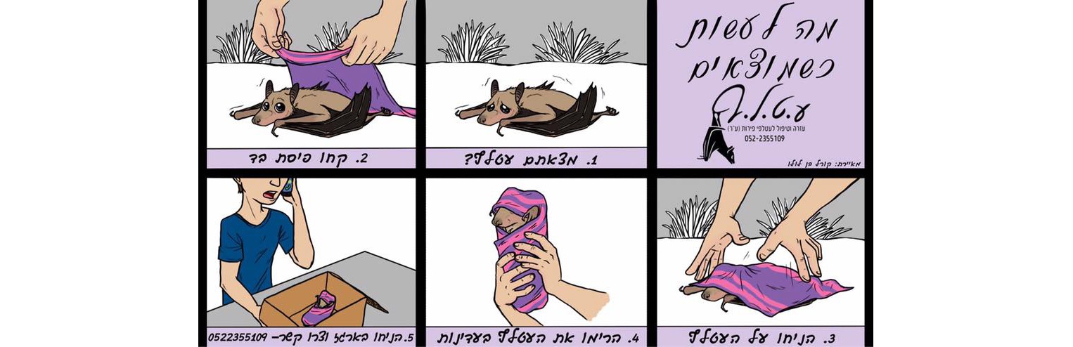 bat9