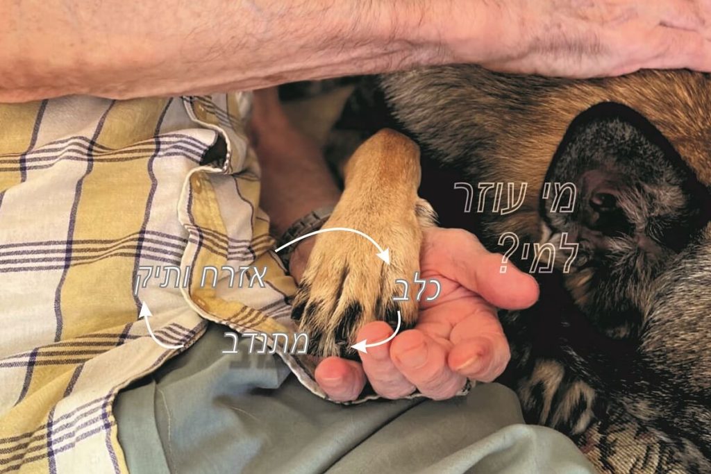 פרויקט מקסים של התנדבות עם כלבים וקשישים, בכל מקום בארץ, הצטרפו, הצילו כלבים ועזרו לבני אדם